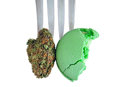 Conseil québécois du cannabis comestible